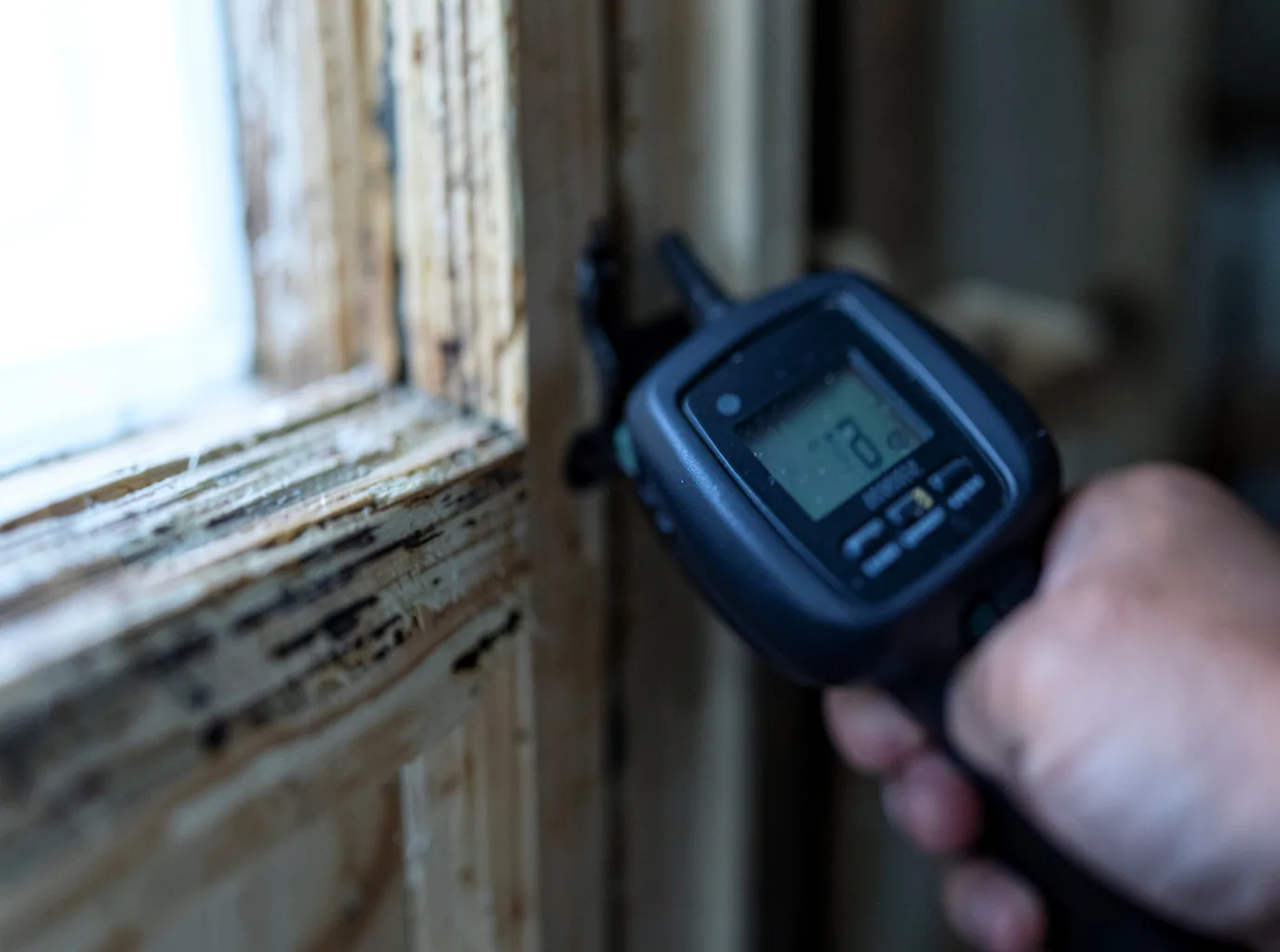 Moisture Inspection And Documentation in Jack, AL